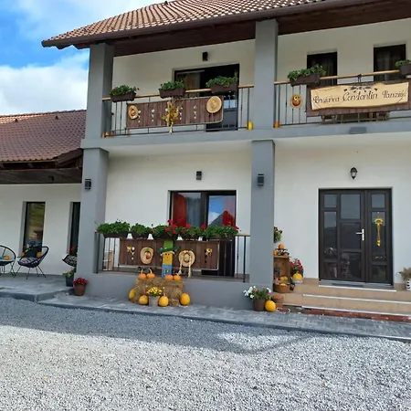 Constantin Panzio 3*